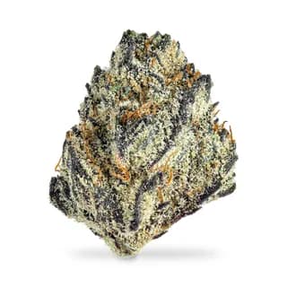 Fresh Coast Cake flower from Happy Goat, sample product photo