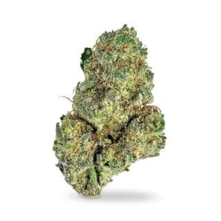 Funk MTN flower from Chaaya Cannabis, sample product photo