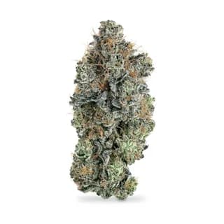 Hash Burger flower from Iron Lung, sample product photo