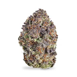 Lemon Cherry Gelato flower from Elevated, sample product photo