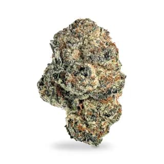 Strawberry Jelly x Don Mega flower from Silver Sap, sample product photo