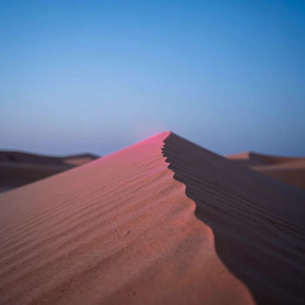 macro detail of dune ridge under electric-blue sky with hot-pink low sun grazing the crest - companion image for the Meta ads CBO vs ABO 2026 structure guide