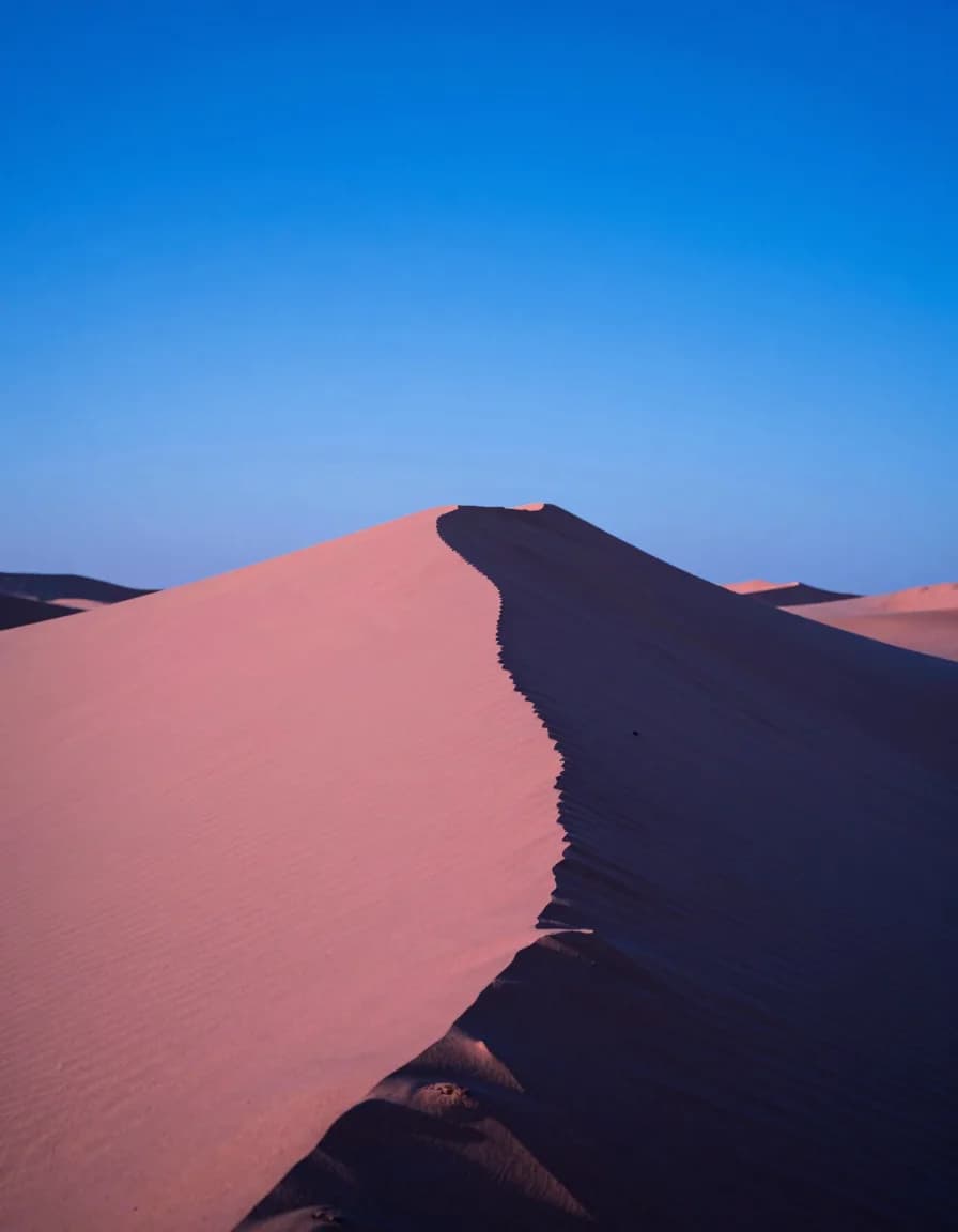 portrait orientation of dune ridge under electric-blue sky with hot-pink low sun grazing the crest - companion image for the Meta ads CBO vs ABO 2026 structure guide