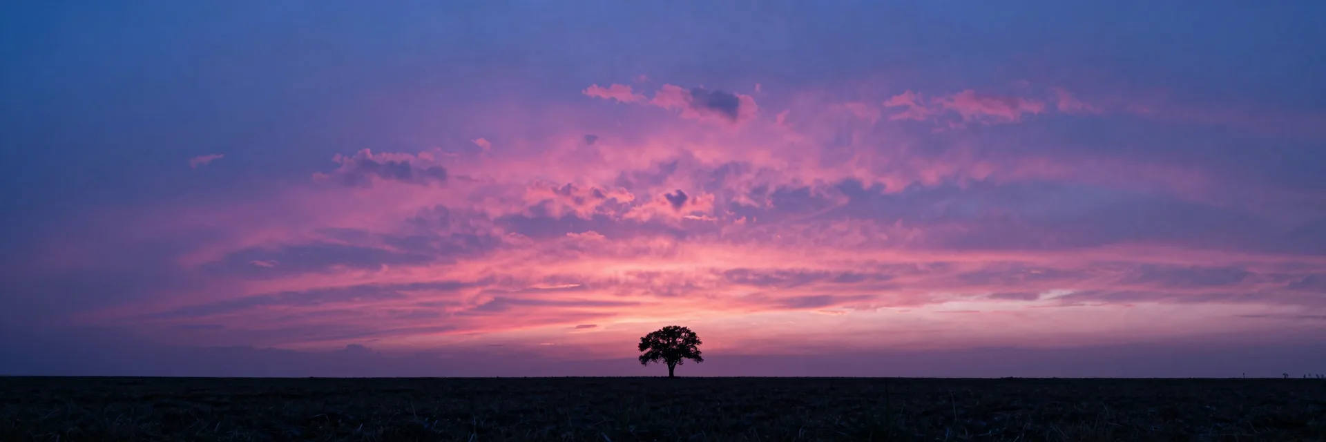 Ultra-wide landscape with a single distant tree silhouetted small on the horizon, dwarfed by a vast pink and purple sunset sky filling the upper three-quarters.