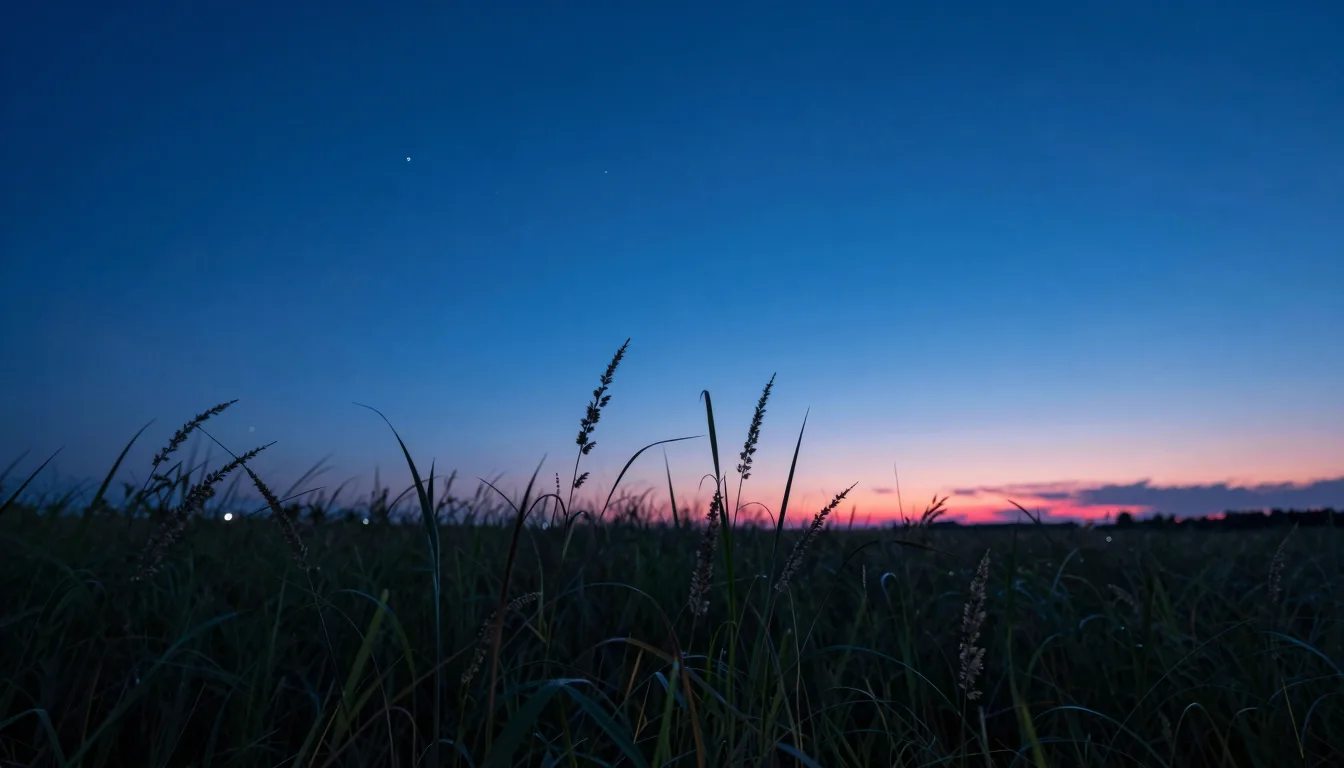 Twilight sky transitioning to night above the grassy field, first stars appearing in the deep electric-blue upper portion, hot-pink afterglow on the horizon.