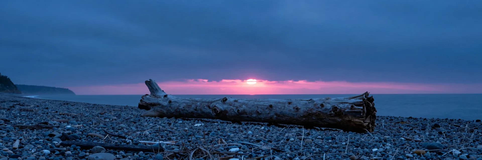 ultra-wide strip of organic weathered form on a desolate plain at electric-blue twilight with hot-pink accent - hero image for the the services trap essay