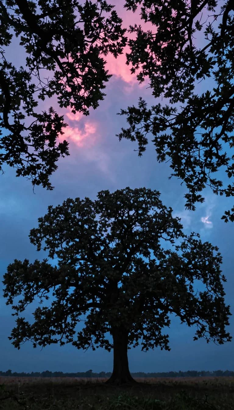 Looking straight up through the wind-bent canopy of a lone oak tree, branches splaying outward in all directions, electric-blue storm sky pouring through the canopy gaps.