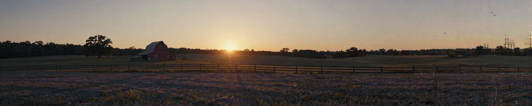 A pasture and barn under golden-hour light.